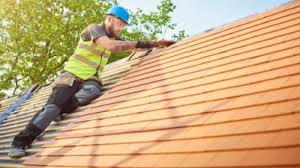 Best Roof Moss and Algae Removal  in Willard, UT