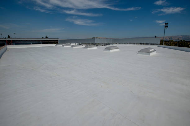 Best Metal Roofing Installation  in Willard, UT