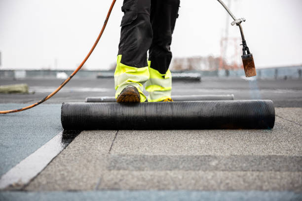 Best Roof Maintenance and Cleaning  in Willard, UT